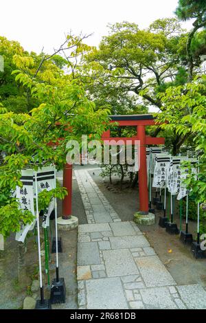 Tsurugaoka-Hachimangu-Schrein und Hatagami-Benzaiten-Schrein Stockfoto