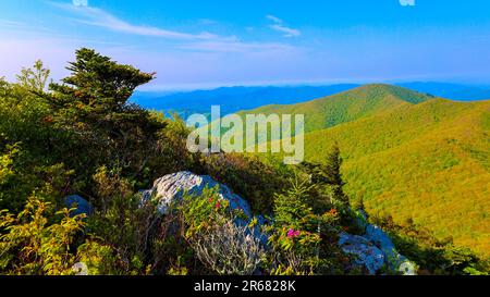 Blue Ridge Pinnacle Stockfoto