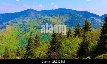 Blue Ridge Pinnacle Stockfoto