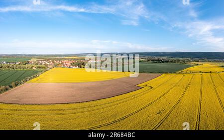 Luftbild Blick nach WedderslebenRapsblüte Stockfoto