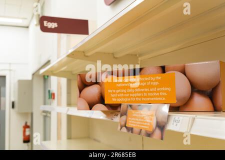 London UK. 7. Juni 2023 Leere Regale am Eiergang im Supermarkt Sainsbury's London wegen des landesweiten Mangels an Vorräten. Kredit: xiu bao/Alamy Live News Stockfoto