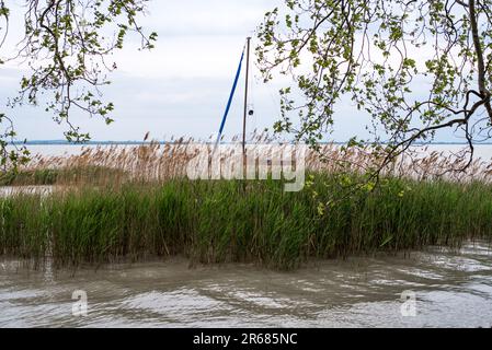 Ein Segelboot, das auf dem Balaton-See auf einen Sturm wartet. Stockfoto