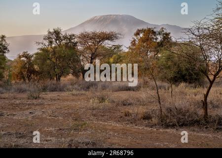 Blick am frühen Morgen auf den Berg Kilamanjaro, aus Kenia und dem Ambroseli-Nationalpark Stockfoto