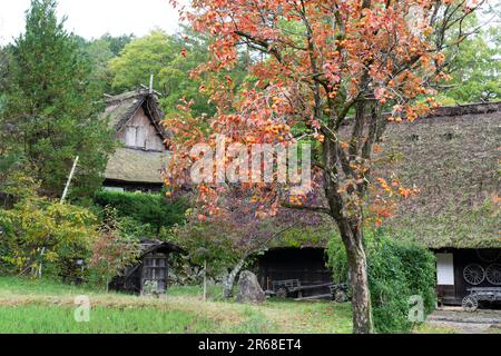 Hida-Dorf im Herbst Stockfoto