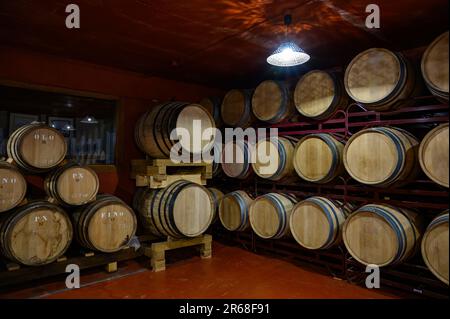 Herstellung von angereicherten jerez-, Xeres- und Sherry-Weinen in französischen Eichenfässern im Sherry-Dreieck, Jerez la Frontera, El Puerto Santa Maria und Sanlucar Bar Stockfoto