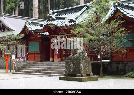 Hakone-Schrein Stockfoto