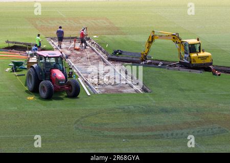 Ein Arbeiter bereitet das Cricket-Wicket vor, Eden Park, Auckland, Neuseeland, Mittwoch, 10. November 2010. Stockfoto