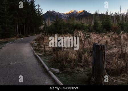 Ein malerischer Pfad mit einem Baumstumpf im Vordergrund Stockfoto