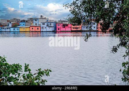 Häuser entlang der Estero Salada oder Salty Estuary in Guayaquil Ecuador Stockfoto