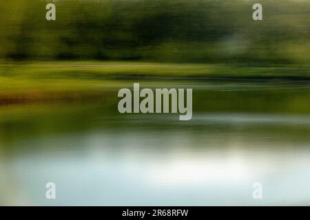 Sommer in Calgary, Carburn Park, Landschaftsabstraktion am Bow River, absichtliche Kamerabewegungen und absichtliche Unschärfe. Stockfoto