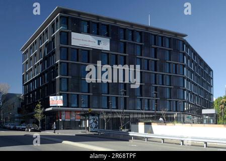 55 Miller Street in Pyrmont, NSW 2009, Australien. Stockfoto