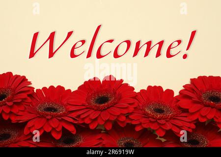 Willkommenskarte. Wunderschöne rote Gerbera-Blumen und Wort auf beigefarbenem Hintergrund, Draufsicht Stockfoto