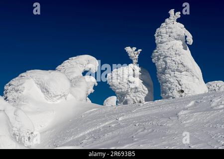 Berg Zao Gipfel Rimme Stockfoto