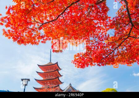 Fünfstöckige Pagode im Herbst Stockfoto