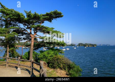 Matsushima Bay aus der Zuiganji Godaido Halle Stockfoto