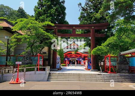 Aoba-Schrein bei den Ruinen von Sendai Castle Stockfoto