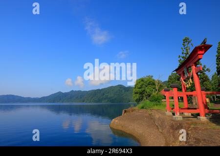 Tazawa-See und Torii-Tor des Gozaishi-Schreins Stockfoto