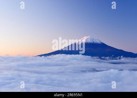 Fuji im Morgengrauen, schwimmend im Wolkenmeer Stockfoto