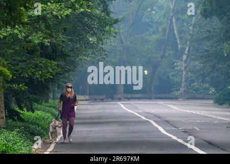 New York, USA. 7. Juni 2023. Eine Frau trägt eine Gesichtsmaske, während sie mit ihrem Hund durch eine leere Straße im New Yorker Central Park spaziert, ein Ort, der normalerweise voller Menschen wäre, aber dichter Nebel, der durch den Rauch kanadischer Waldbrände verursacht wurde, veranlasste die Regierung, die Menschen aufzufordern, drinnen zu bleiben. Die Luftqualität in New York City ist auf dem schlechtesten Niveau, was zu einer Notsituation führte, die Schulschließungen und die Annullierung der meisten Outdoor-Aktivitäten beinhaltete. Kredit: Enrique Shore/Alamy Live News Stockfoto