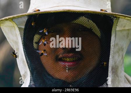 Wilde Bienen sahen die Schutzausrüstung eines Honigjägers während der Honigjagdsaison. In den bezaubernden Hügeln Nepals entfaltet sich eine uralte Tradition namens Honigjagd, während mutige Individuen sich auf der Suche nach dem goldenen Nektar der Natur in die tückischen Klippen wagen. Mit nur einem Seil als Rettungsleine steigen diese Honigjäger in große Höhen und riskieren ihr Leben für die Chance, in den Höhen versteckte Honigwaben zu ernten. Die ländliche Gemeinde Bhotekhosi im Stadtteil Sindhupalchowk dient als ihr gewagter Spielplatz. Stockfoto