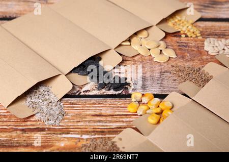 Viele verschiedene Gemüsesamen auf einem Holztisch Stockfoto