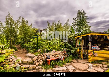 Stürmische Übersicht über den Fauna & Flora Garden, entworfen von Jilayne Rickards auf der 2023 RHS Chelsea Flower Show, London, Großbritannien Stockfoto