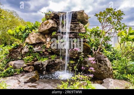 Der Wasserfall im Fauna & Flora Garden, entworfen von Jilayne Rickards auf der 2023 RHS Chelsea Flower Show, London, Großbritannien Stockfoto