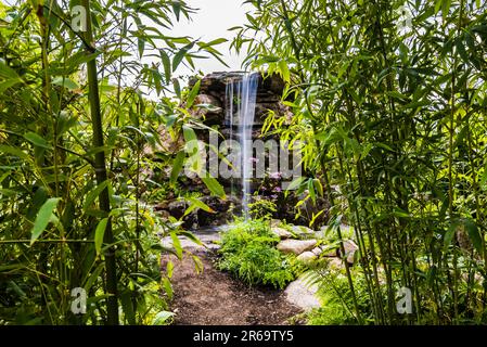 Blick durch die Bambus zum Wasserfall im Fauna & Flora Garden, entworfen von Jilayne Rickards auf der 2023 RHS Chelsea Flower Show, London, Großbritannien Stockfoto