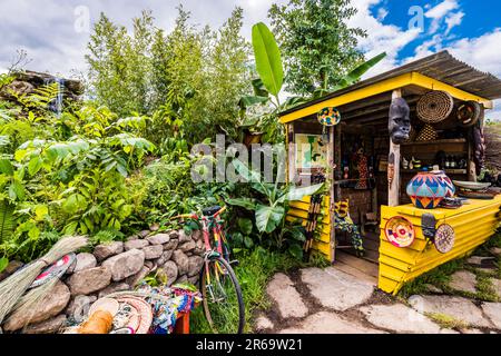 Wasserfall und Kiosk im Fauna & Flora Garden, entworfen von Jilayne Rickards auf der 2023 RHS Chelsea Flower Show, London, Großbritannien Stockfoto