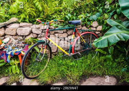 Das Fahrrad im Fauna & Flora Garden, entworfen von Jilayne Rickards auf der 2023 RHS Chelsea Flower Show, London, Großbritannien Stockfoto