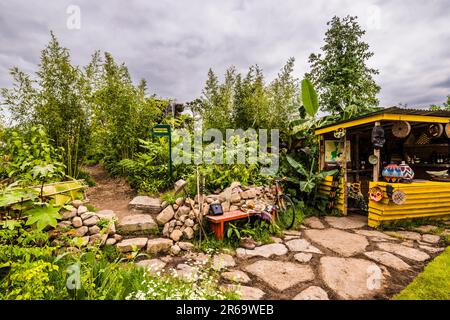 Überblick über den Fauna & Flora Garden, entworfen von Jilayne Rickards auf der 2023 RHS Chelsea Flower Show, London, Großbritannien Stockfoto