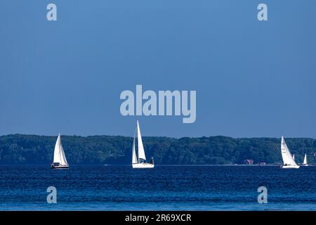 07. Juni 2023, Schleswig-Holstein, Glücksburg: Segelboote fahren auf dem Flensburg Fjord vor der Halbinsel Holnis. Die Halbinsel gehört zur Stadt Glücksburg, der nördlichsten Stadt Deutschlands (Liste auf Sylt hat den Status einer Gemeinde). Foto: Frank Hammerschmidt/dpa Stockfoto