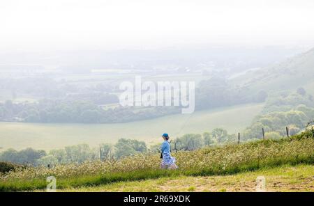 Brighton UK, 8. Juni 2023 - Ein Wanderer beobachtet, wie die Sonne durch den frühen Morgennebel am South Downs Way am Ditchling Beacon bei Brighton zu brennen beginnt, da für die nächsten Tage in ganz Großbritannien heißes Wetter vorhergesagt wird : Credit Simon Dack / Alamy Live News Stockfoto