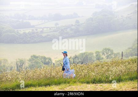 Brighton UK, 8. Juni 2023 - Ein Wanderer beobachtet, wie die Sonne durch den frühen Morgennebel am South Downs Way am Ditchling Beacon bei Brighton zu brennen beginnt, da für die nächsten Tage in ganz Großbritannien heißes Wetter vorhergesagt wird : Credit Simon Dack / Alamy Live News Stockfoto