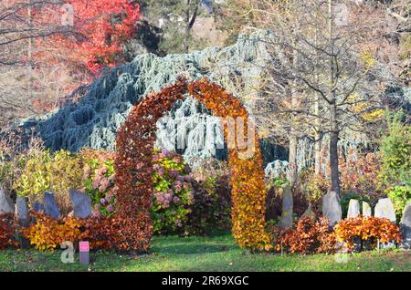 FRANKREICH. ILE-DE-FRANCE. HAUTS-DE-SEINE (92). CHATENAY-MALABRY. DAS ARBORETUM DE LA VALLEE AUX ENDET IM HERBST. Stockfoto