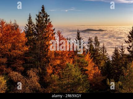 FRANKREICH. ELSASS. BAS-RHIN (67) ALTENBERGER MASSIV. NEBEL ÜBER DER ELSÄSSISCHEN EBENE VOM ROCHER DU COUCOU Stockfoto