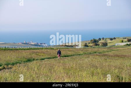 Brighton UK 8. Juni 2023 - ein frühmorgendlicher Wanderer genießt den Sonnenschein im Sheepcote Valley bei Brighton, da für die nächsten Tage in ganz Großbritannien heißes Wetter vorhergesagt wird : Credit Simon Dack / Alamy Live News Stockfoto