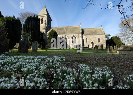 Snowdrop Time St. Cuthberts Church, Kildale, North Yorkshire im Nationalpark Stockfoto