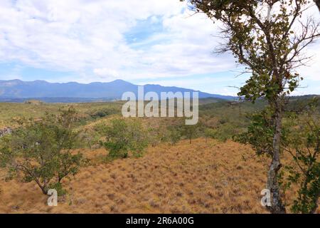 Die Landschaft in der Nähe des Nationalparks Rincon de la Vieja an guanacaste in Costa Rica Stockfoto