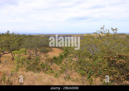 Die Landschaft in der Nähe des Nationalparks Rincon de la Vieja an guanacaste in Costa Rica Stockfoto