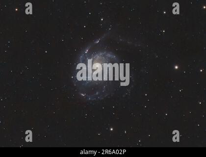 Pinwheel Galaxy (Messier 101) im Sternbild Ursa Major, ebenfalls sichtbar ist die kürzlich entdeckte Supernova, die aus Großbritannien fotografiert wurde Stockfoto