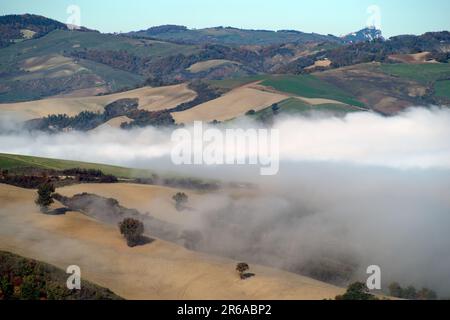 Nebbia sulle colline del Montefeltro Stockfoto