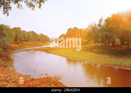 Landschaften im Norden des Kruger Nationalparks S. Stockfoto