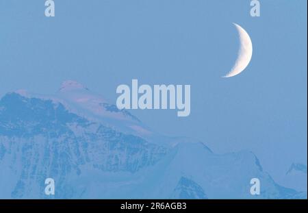 Jungfrau im Abendlicht (Dämmerung) (Dämmerung) (Europa) (Landschaften) (Berge) (Gebirge) (Querforat) (horizontal) (Mond) (Mond) (alpen), 4158 m. Stockfoto