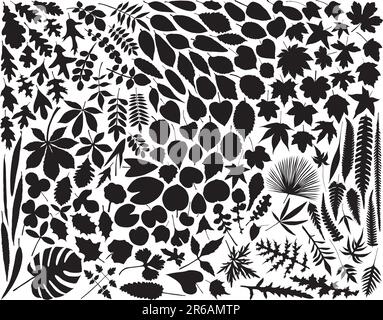 Sammlung von Hunderten von Vektor Blatt Umrisse Stock Vektor