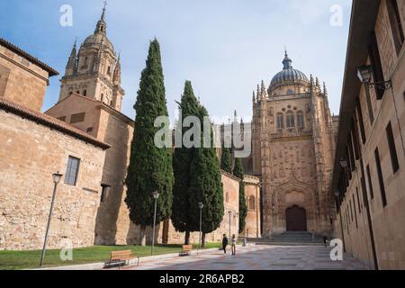 Salamanca Kathedrale, Blick auf die Südseite der Catedral Nueva mit den Gebäuden des Claustro de la Catedral auf der linken Seite, Salamanca Spanien Stockfoto