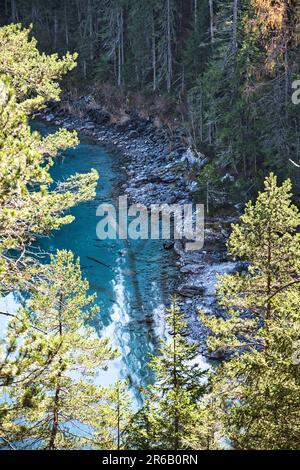 Eine malerische Aufnahme eines ruhigen Flusses in einem üppigen grünen Wald, umgeben von hohen Bäumen auf beiden Seiten. Stockfoto