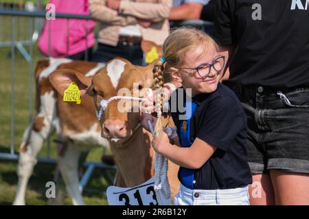 Wadebridge, Cornwall, Großbritannien. 8. Juni 2023 Royal Cornwall Show. Ein heißer sonniger Eröffnungstag für die jährliche Royal Cornwall Show. Credit Simon Maycock / Alamy Live News. Stockfoto