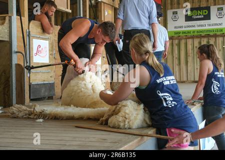 Wadebridge, Cornwall, Großbritannien. 8. Juni 2023 Royal Cornwall Show. Ein heißer sonniger Eröffnungstag für die jährliche Royal Cornwall Show. Credit Simon Maycock / Alamy Live News. Stockfoto