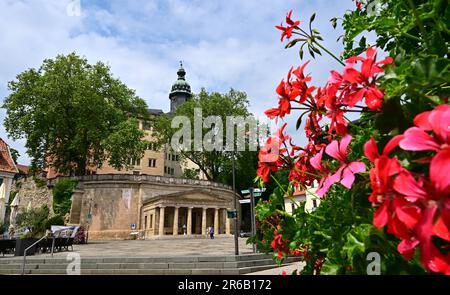 Sondershausen, Deutschland. 08. Juni 2023. Blumen blühen vor dem Schloss Sondershausen. Ein von der Bundesregierung und dem Freistaat Thüringen finanziertes spezielles Investitionsprogramm der Thüringer Stiftung für Burgen und Gärten (STSG) hat ein Gesamtvolumen von 200 Millionen Euro. Die 23 Einzelprojekte des Programms werden allmählich in Gang gesetzt, wobei mit dem Bau der ersten Projekte begonnen wird. Kredit: Martin Schutt/dpa/Alamy Live News Stockfoto